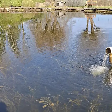 Bulle D'eau *